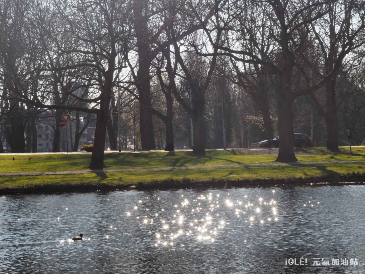 Kralingse Bos, Rotterdam
