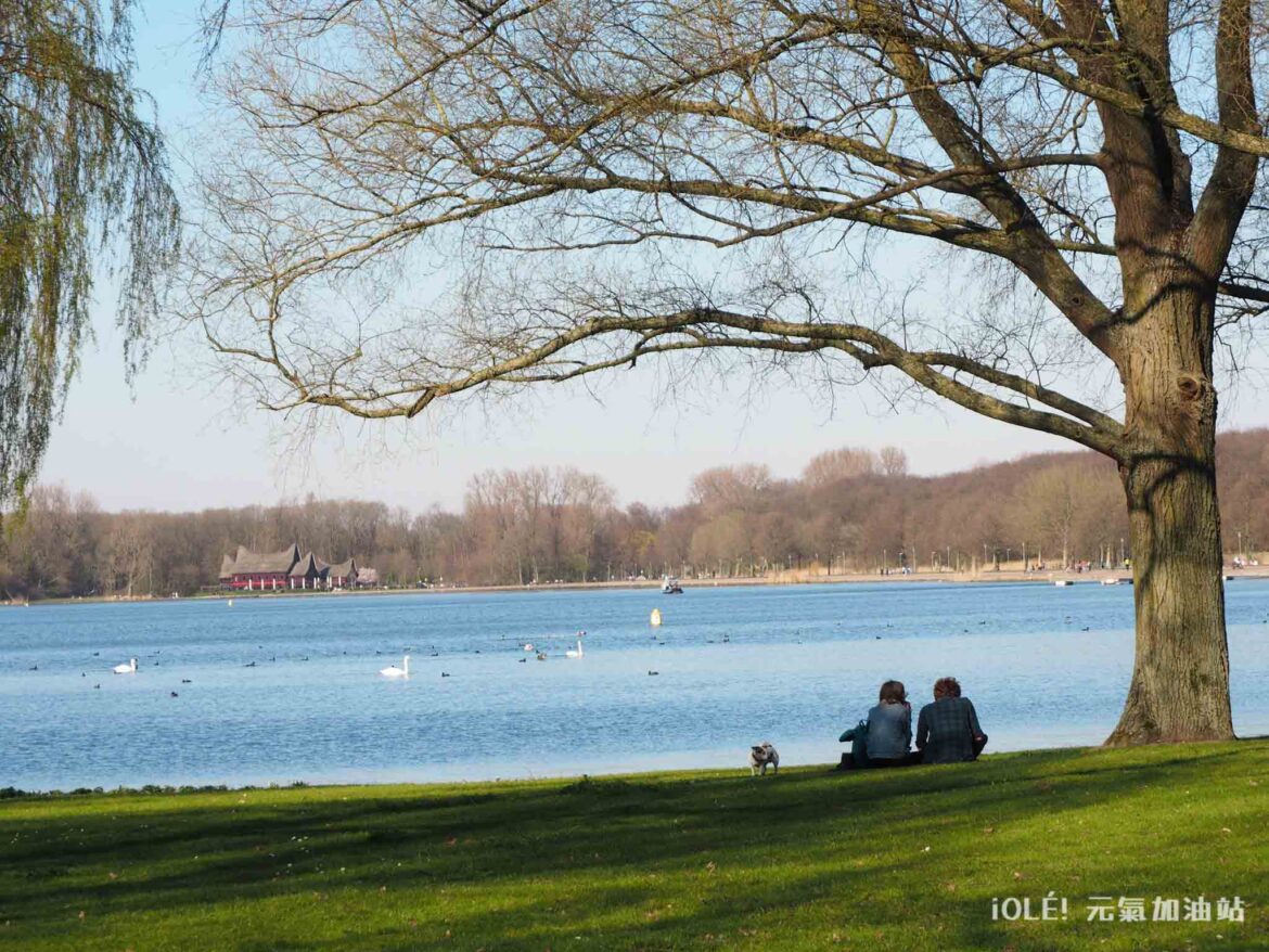 Kralingse Bos, Rotterdam