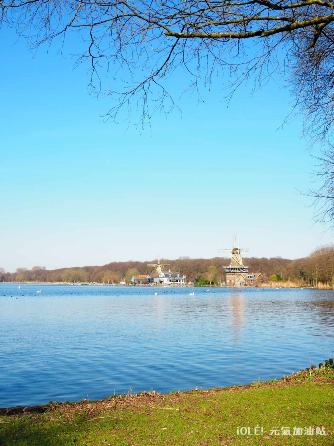 Kralingse Bos, Rotterdam