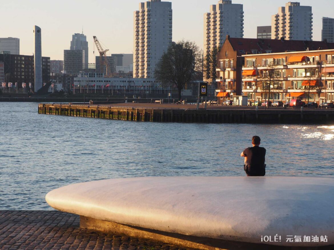 Nieuwe Maas, Rotterdam