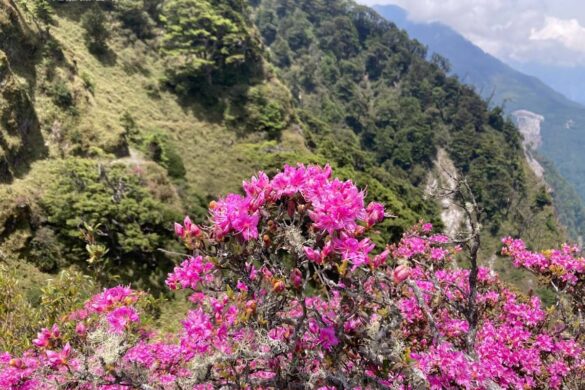 南橫三星，關山嶺山