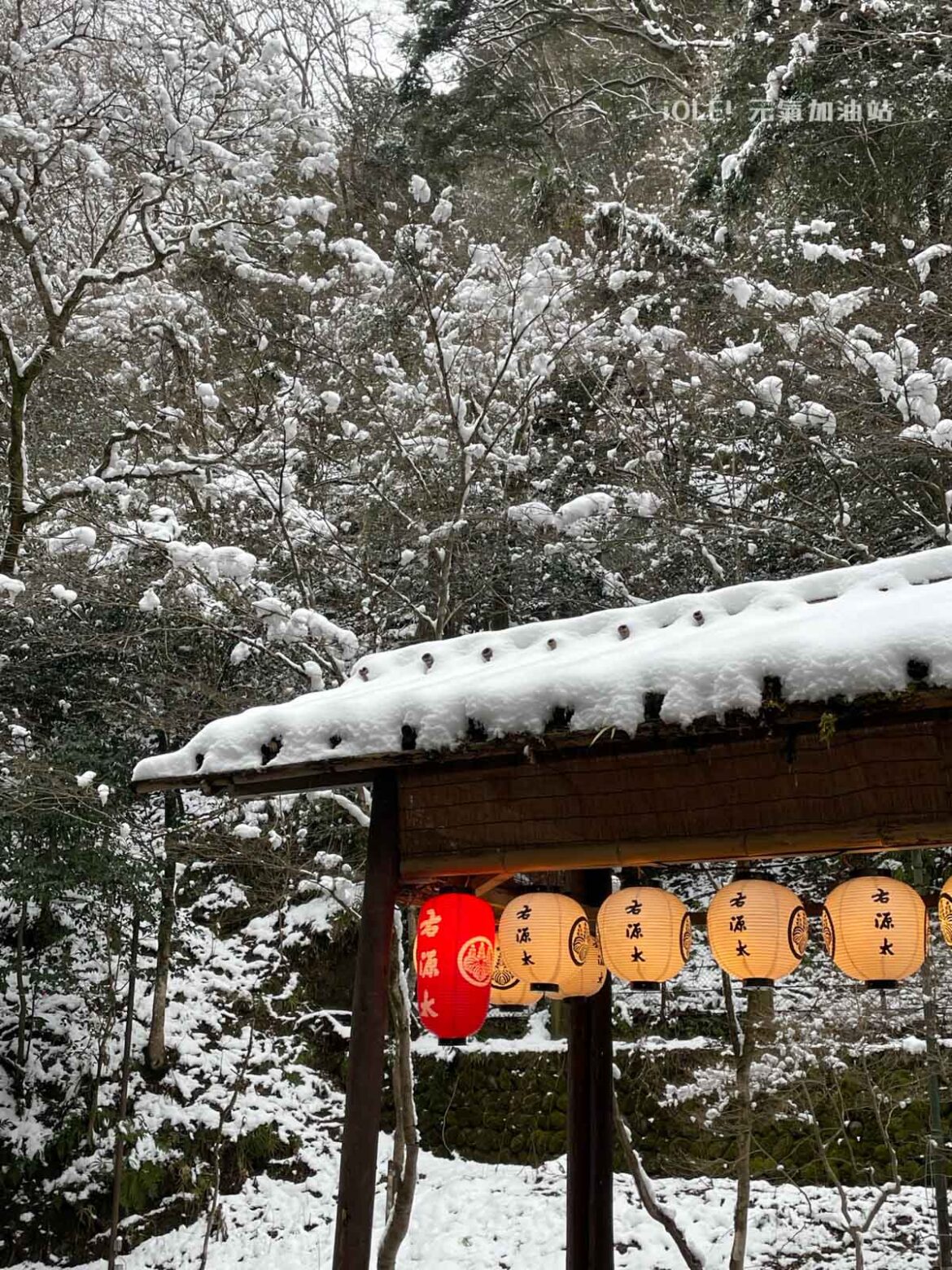 京都貴船神社 Kifune shrine, Kyoto