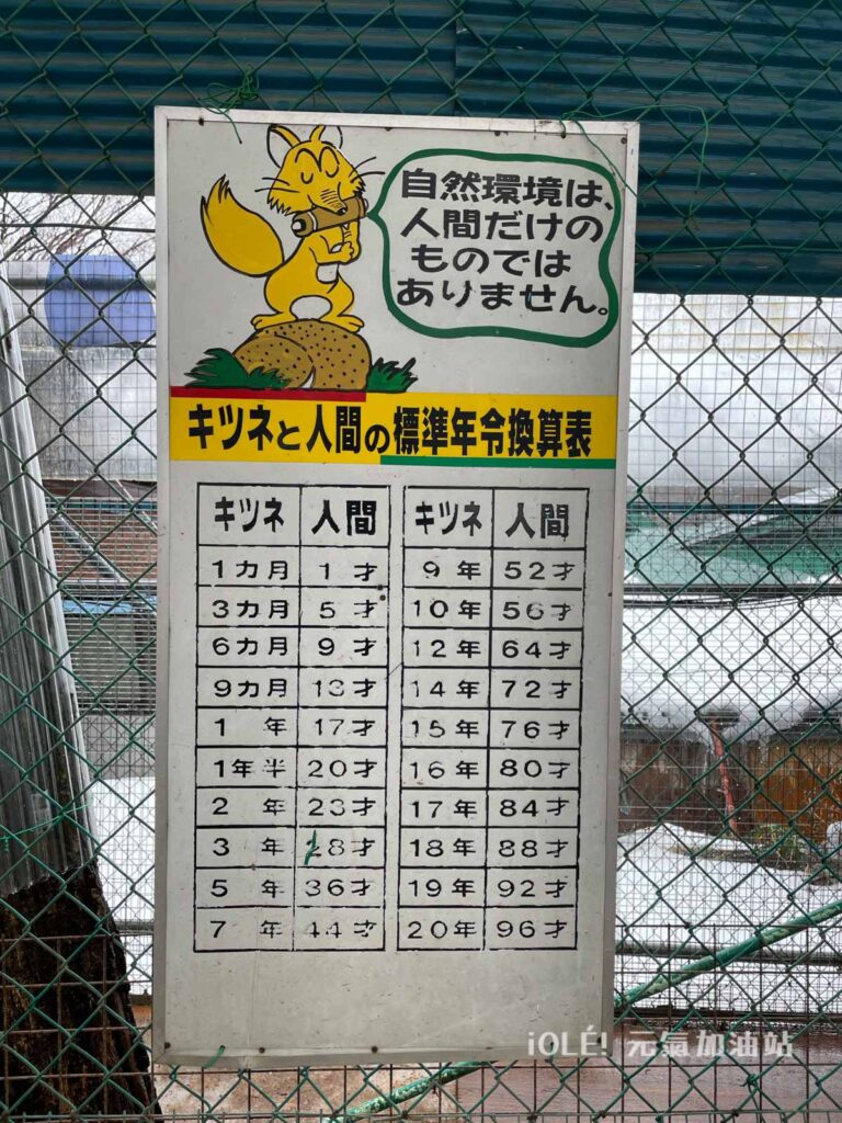 藏王狐狸村 Zao Fox Village