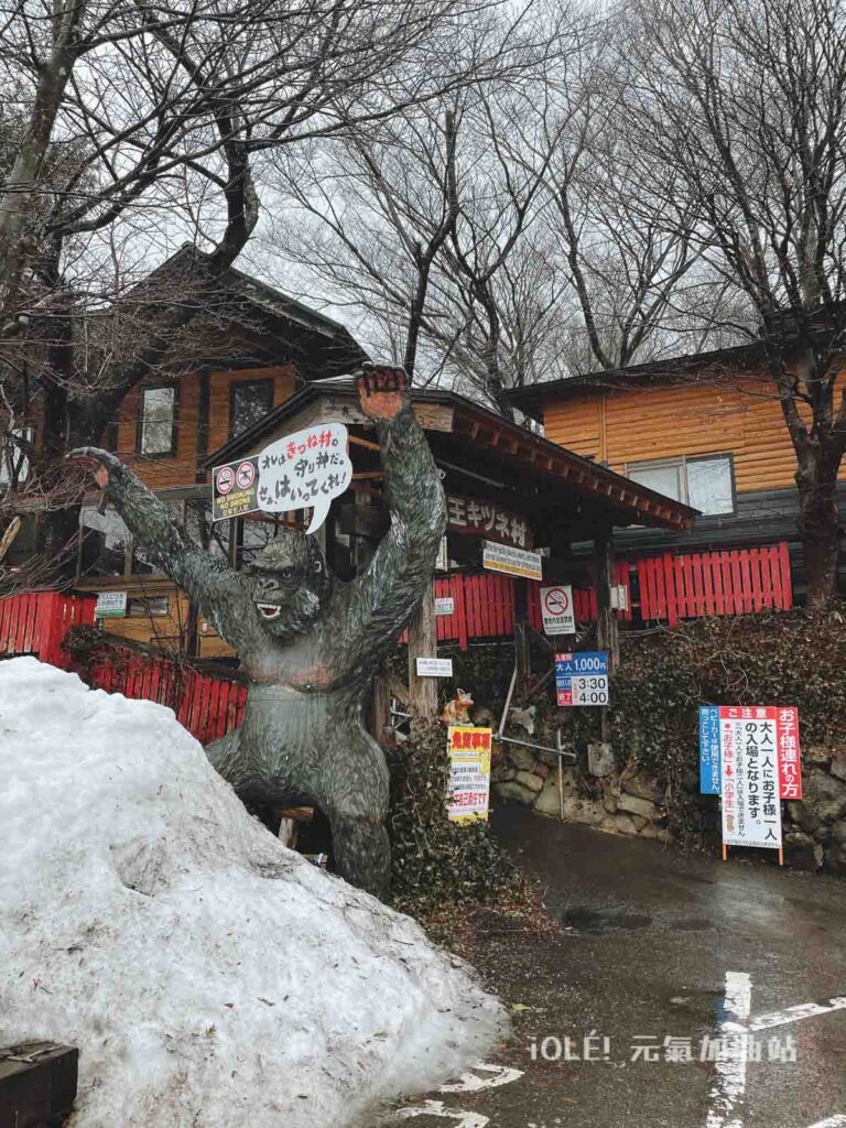 藏王狐狸村 Zao Fox Village